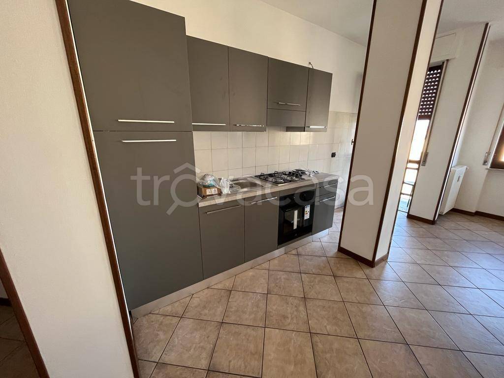 immagine annuncio 2 di 12