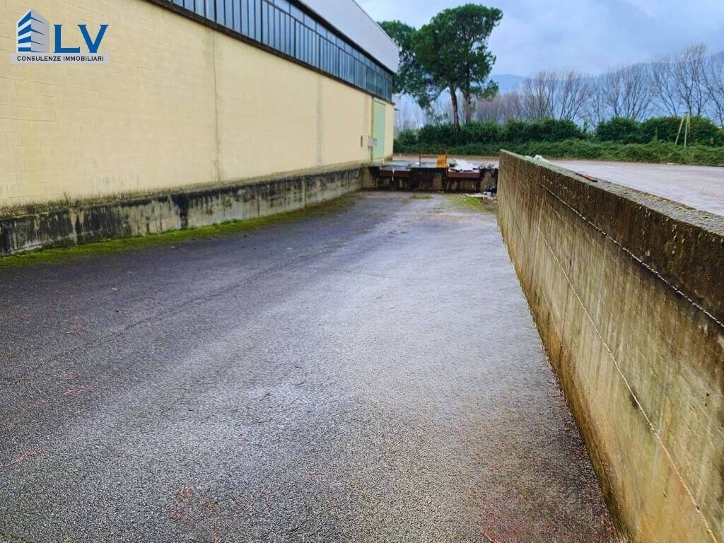 immagine annuncio 5 di 7