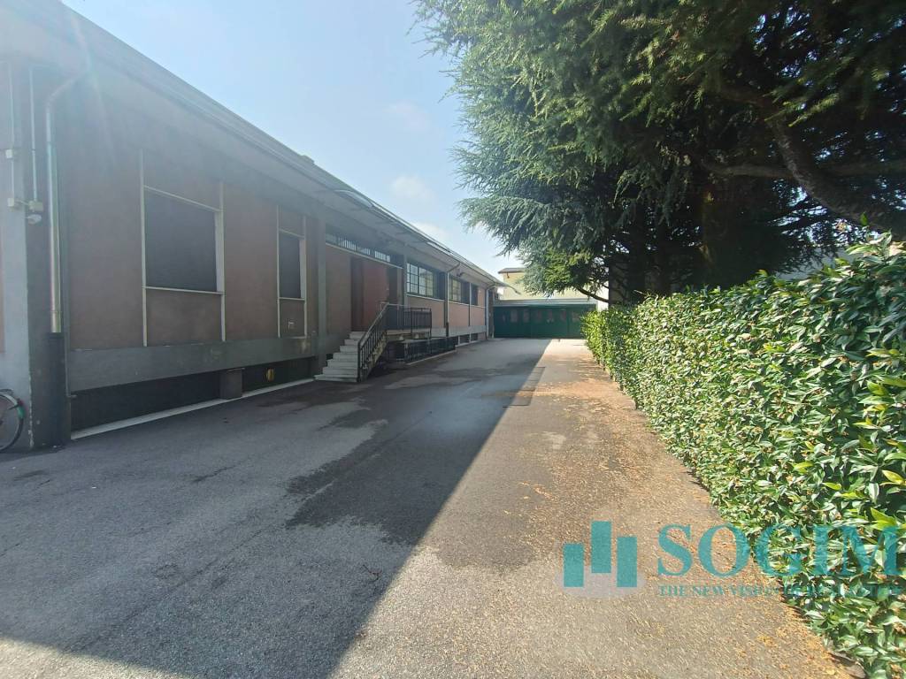 immagine annuncio 5 di 15