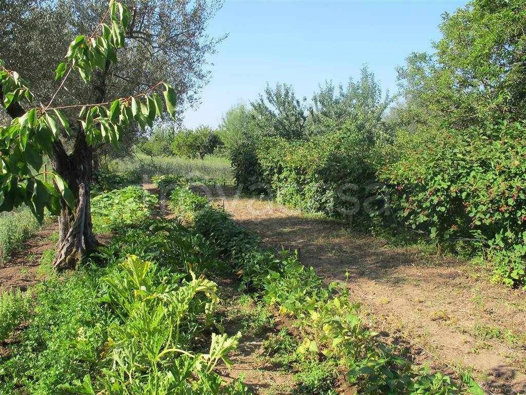immagine annuncio 8 di 13