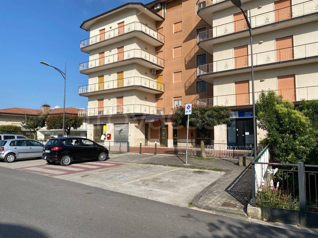 immagine annuncio 1 di 13