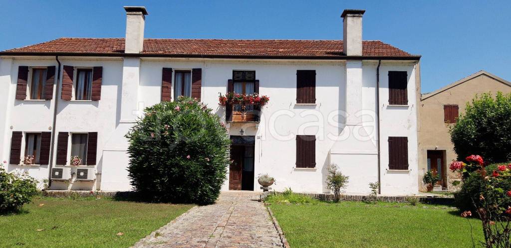 Villa in in vendita da privato a Trecenta via Don Luigi Guanella, 88
