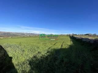 Terreno agricolo in vendita a ragusa c.da monte margi