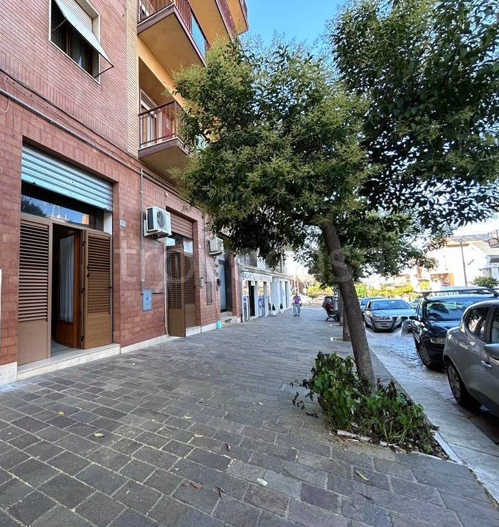 Appartamento in vendita a Torremaggiore corso Matteotti