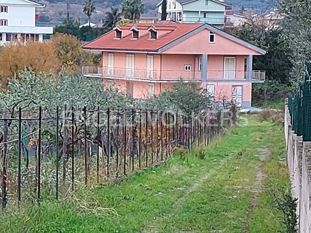 immagine annuncio 11 di 13