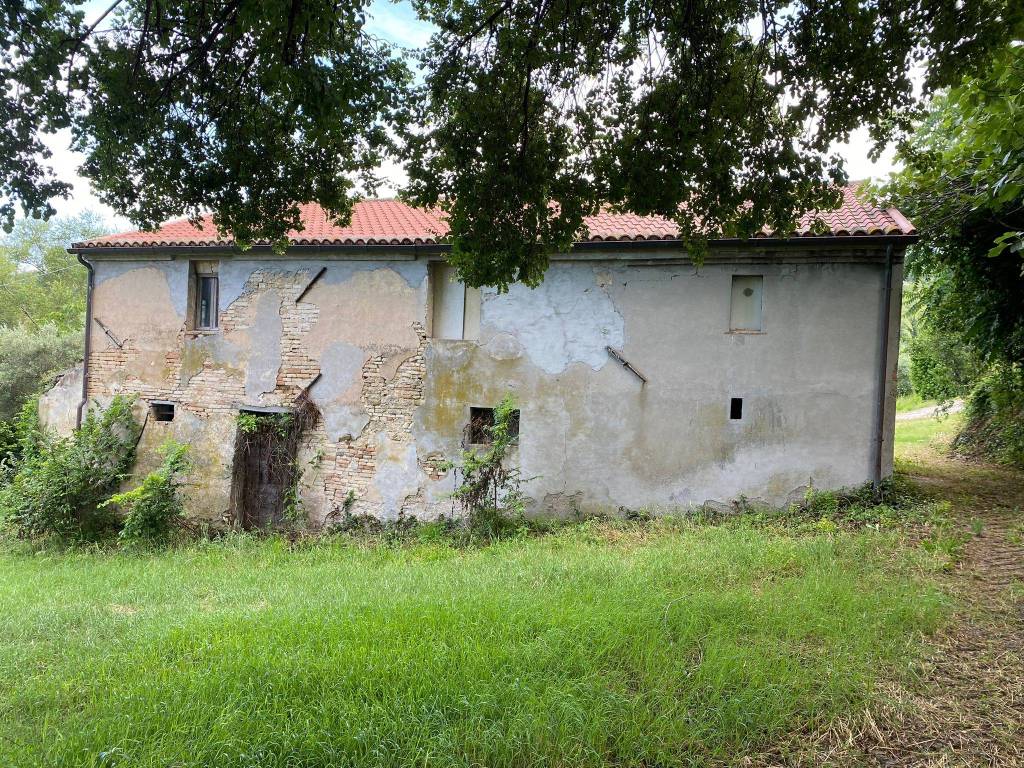 immagine annuncio 5 di 7