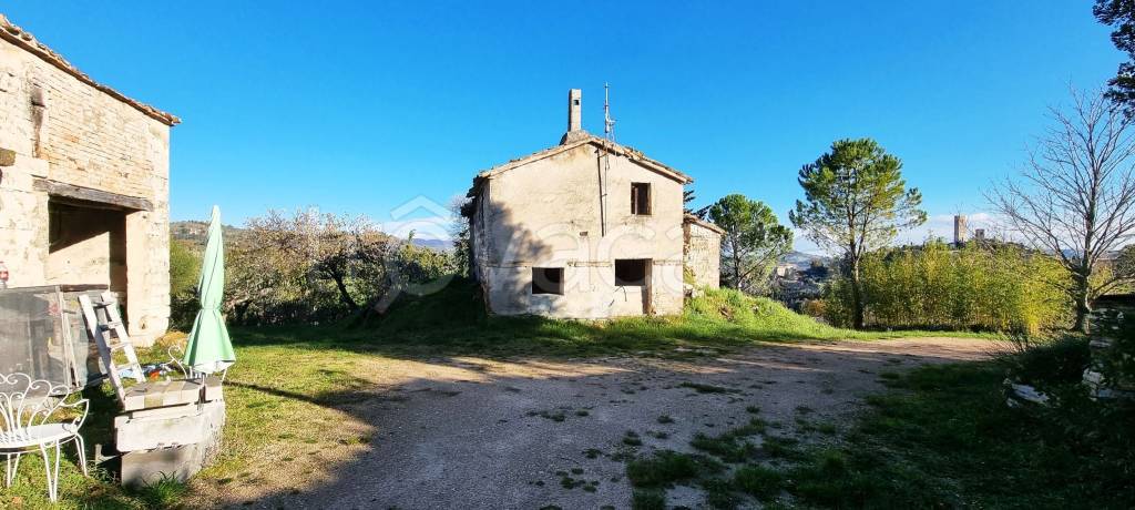 immagine annuncio 3 di 11