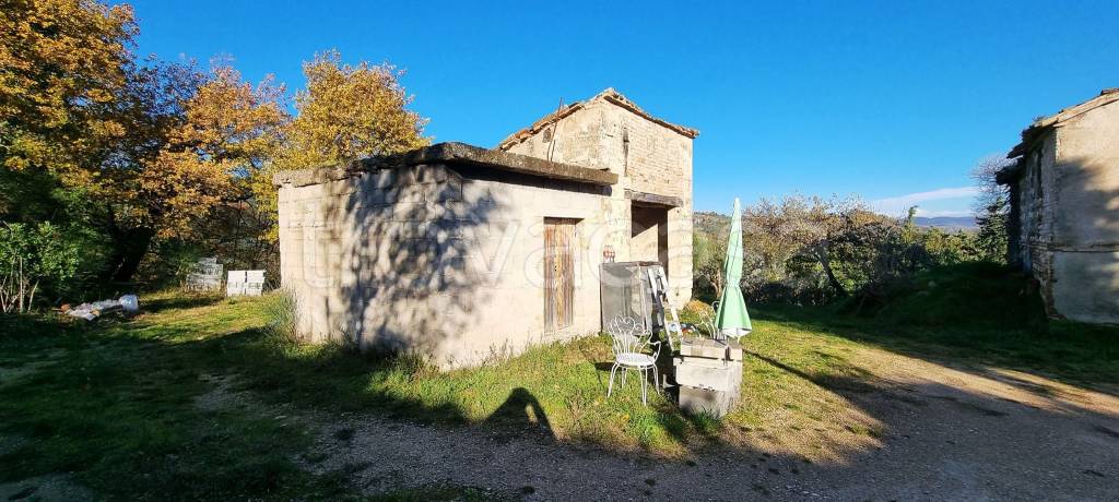 immagine annuncio 4 di 11