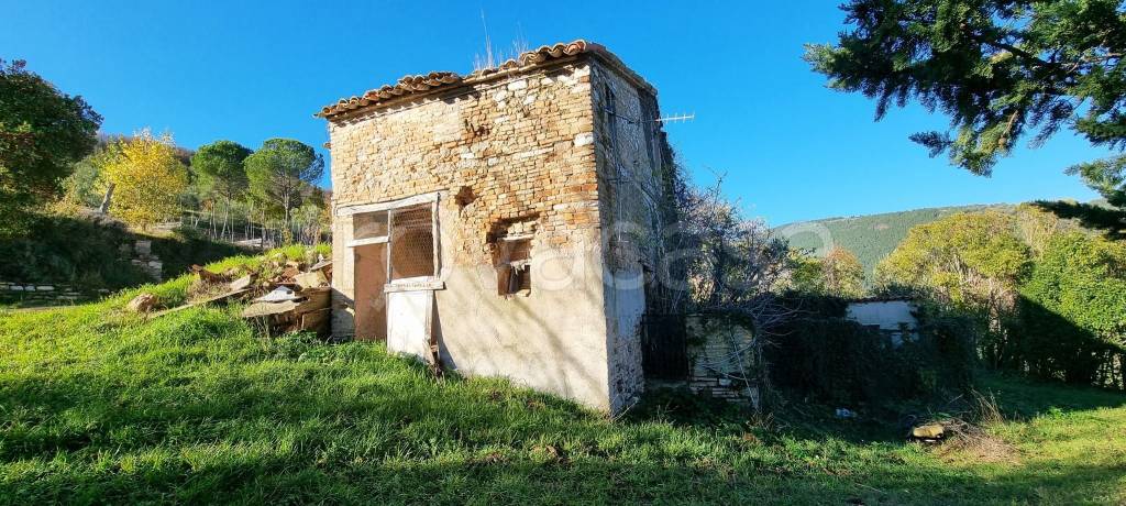 immagine annuncio 6 di 11