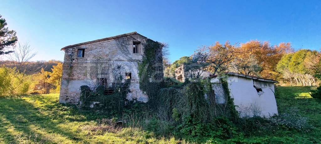 immagine annuncio 7 di 11