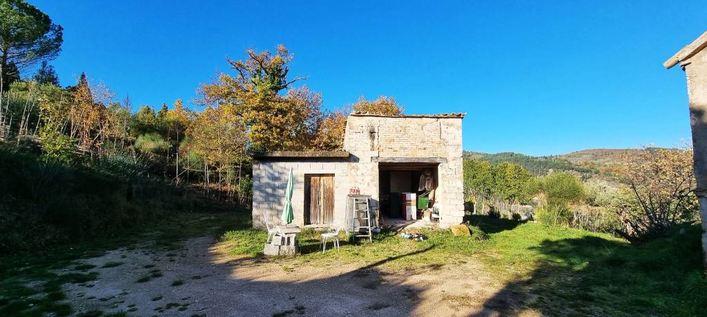 immagine annuncio 10 di 11