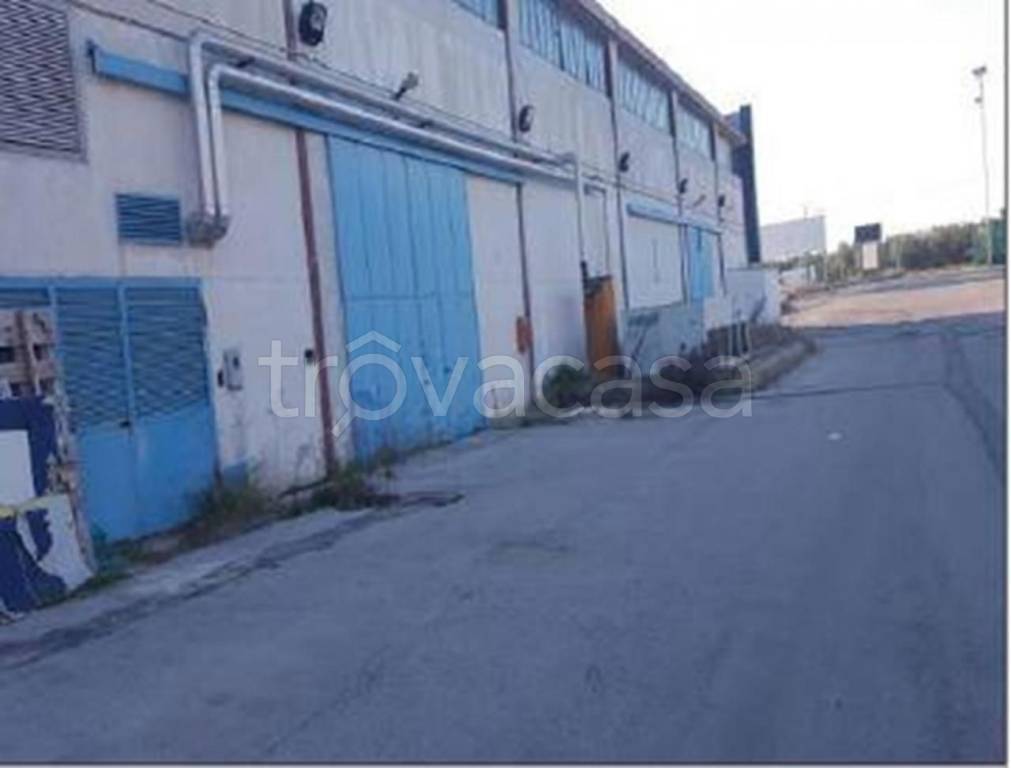 Capannone Industriale in vendita a Bitonto strada provinciale 231 km 5,6