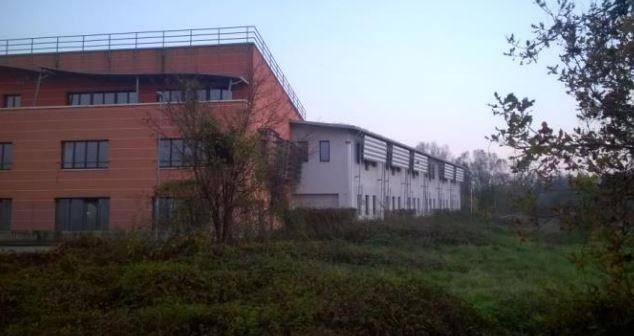 immagine annuncio 10 di 12