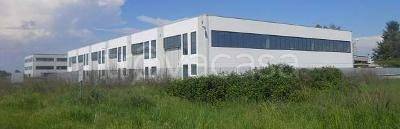 Capannone Industriale in vendita a Nibbiola via m. Binotti