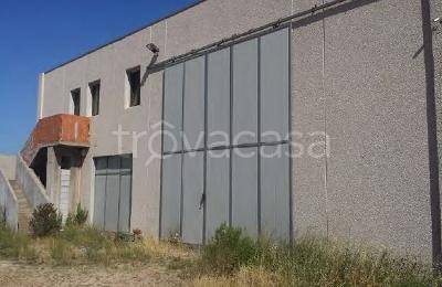 Capannone Industriale in vendita a Telti localita' migaldigossu snc