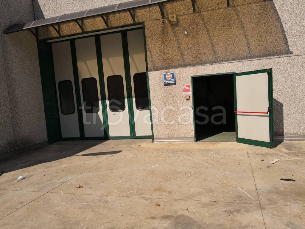 immagine annuncio 7 di 15
