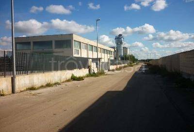 Capannone Industriale in vendita a Sannicandro di Bari s.p. 184