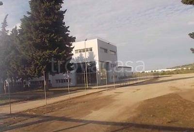 Capannone Industriale in vendita ad Ascoli Satriano sp 104 , Contrada Giarniera Grande, Zona industriale snc