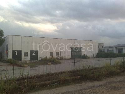 Capannone Industriale in vendita a Nicosia c.Da pantano