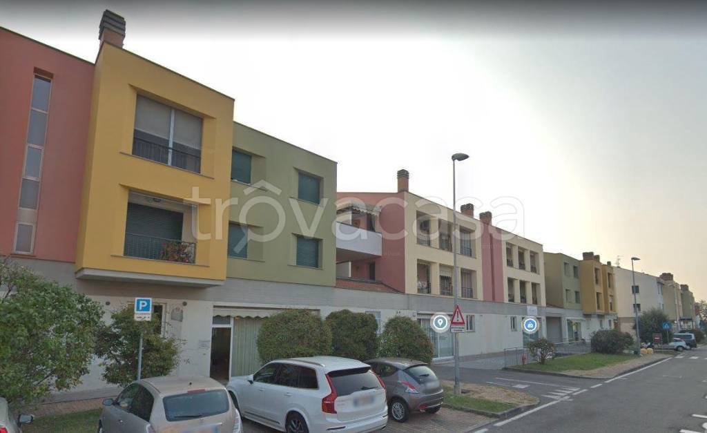 immagine annuncio 11 di 13