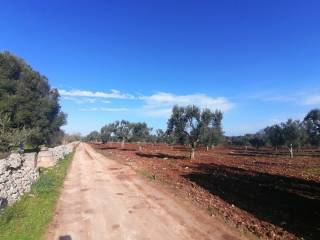 Terreno residenziale in vendita a ostuni contrada santo scalone, sn