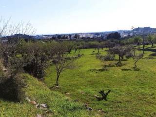 Terreno residenziale in vendita a ostuni c.da ramunno, sn