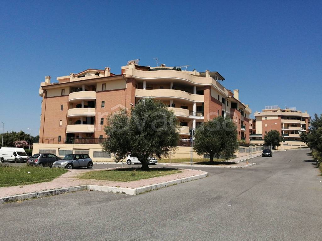 immagine annuncio 6 di 15