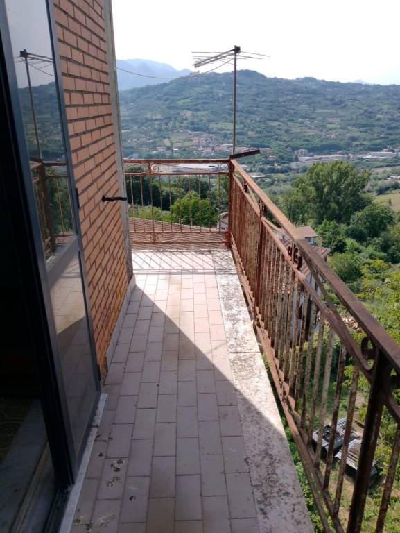 immagine annuncio 12 di 14