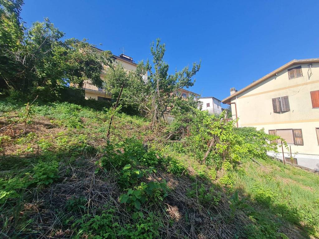 immagine annuncio 3 di 11