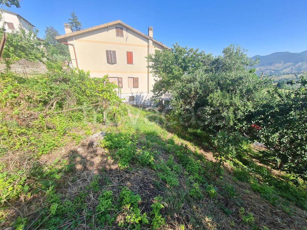 immagine annuncio 8 di 11