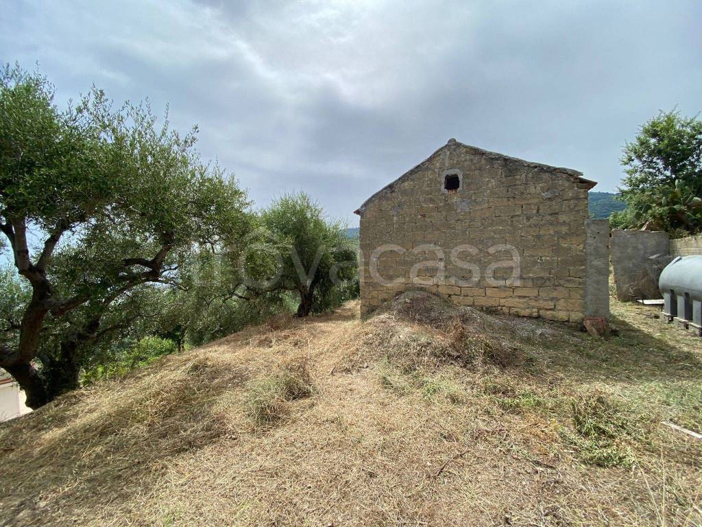 immagine annuncio 3 di 9
