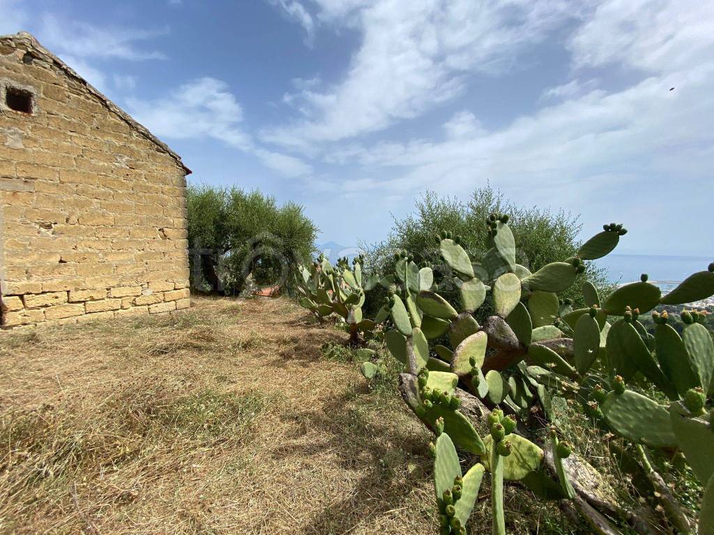 immagine annuncio 6 di 9
