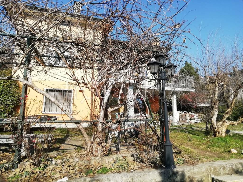 immagine annuncio 1 di 14