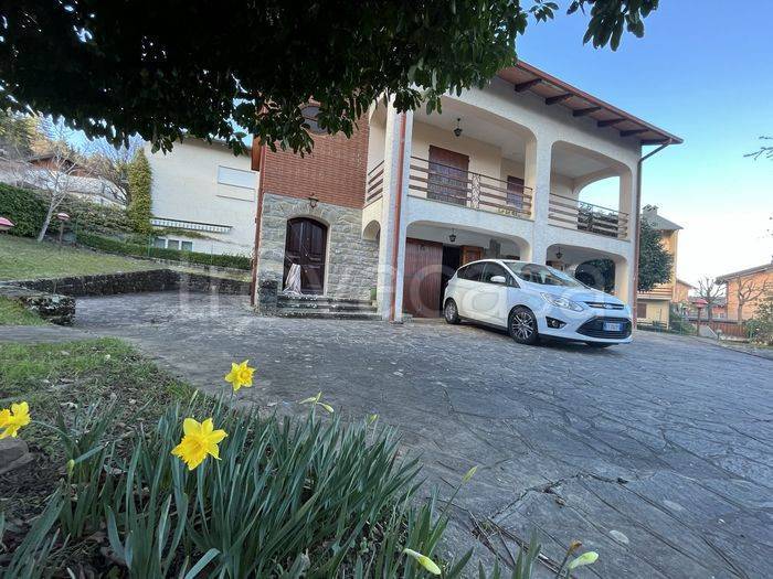 immagine annuncio 2 di 12