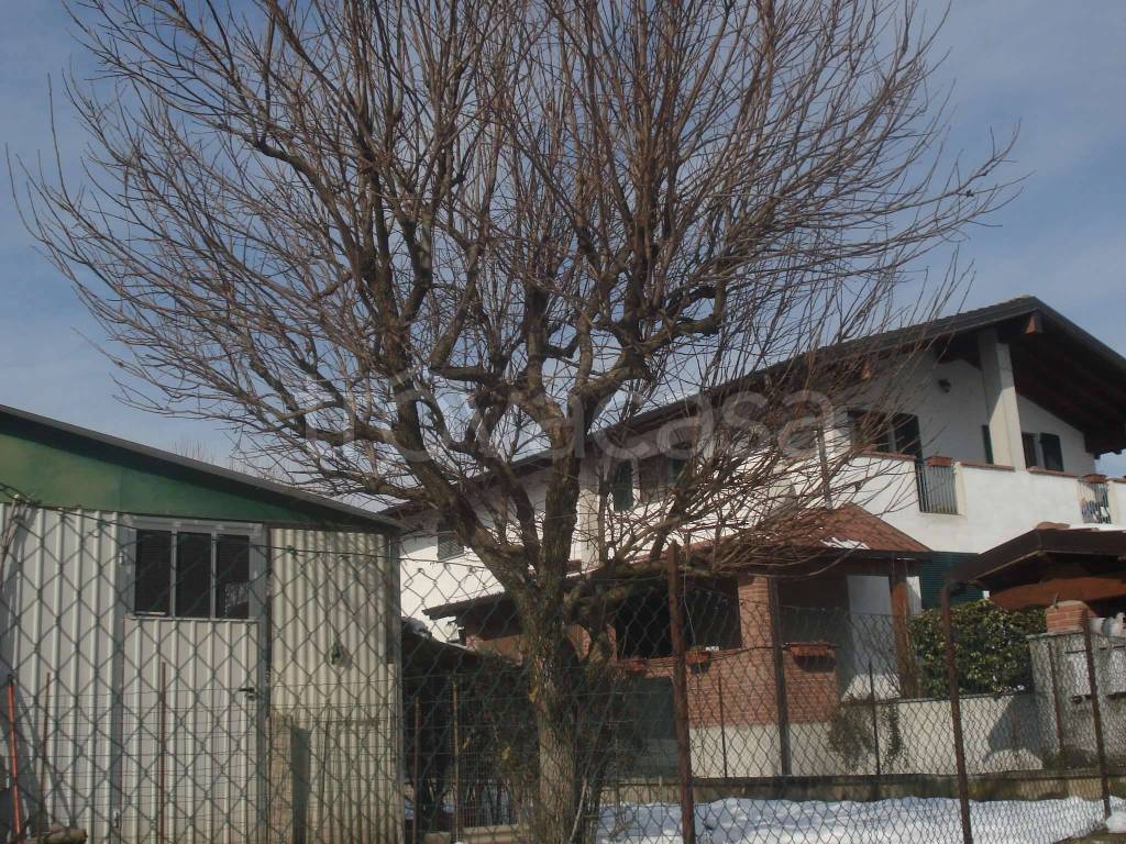 immagine annuncio 1 di 14