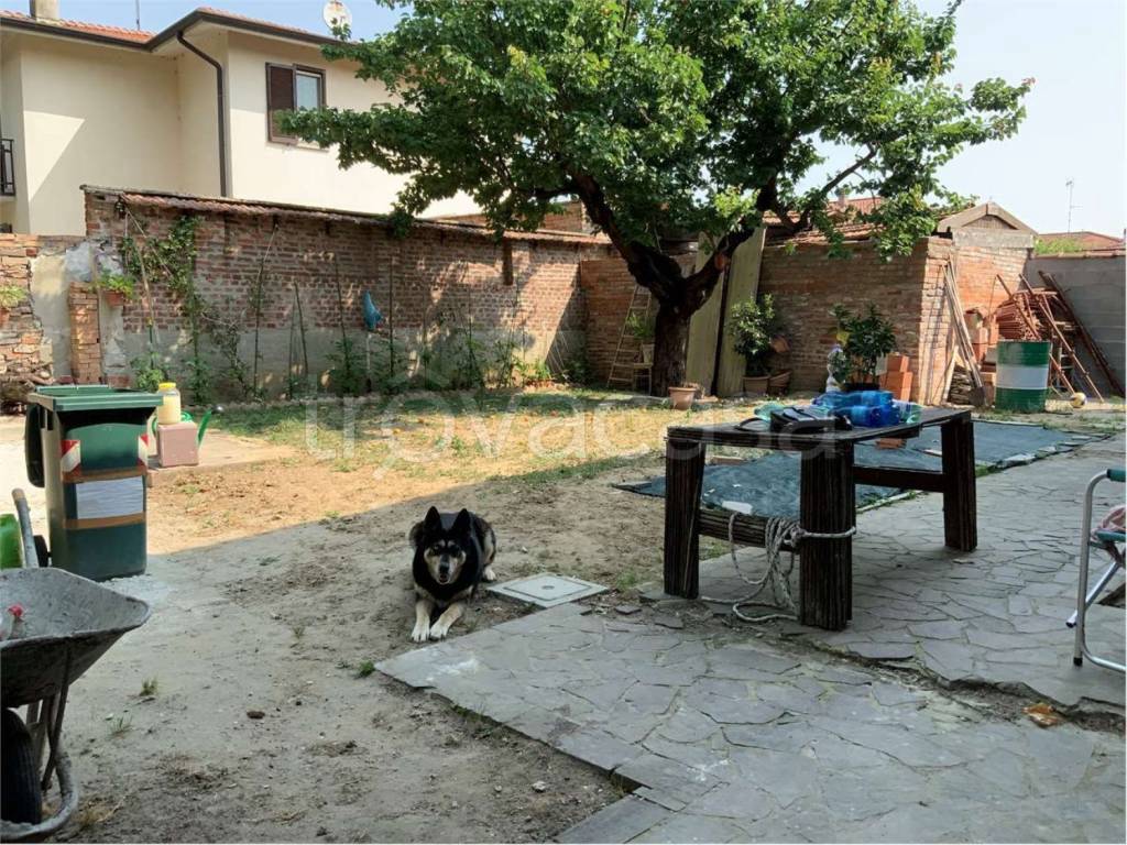 immagine annuncio 3 di 7