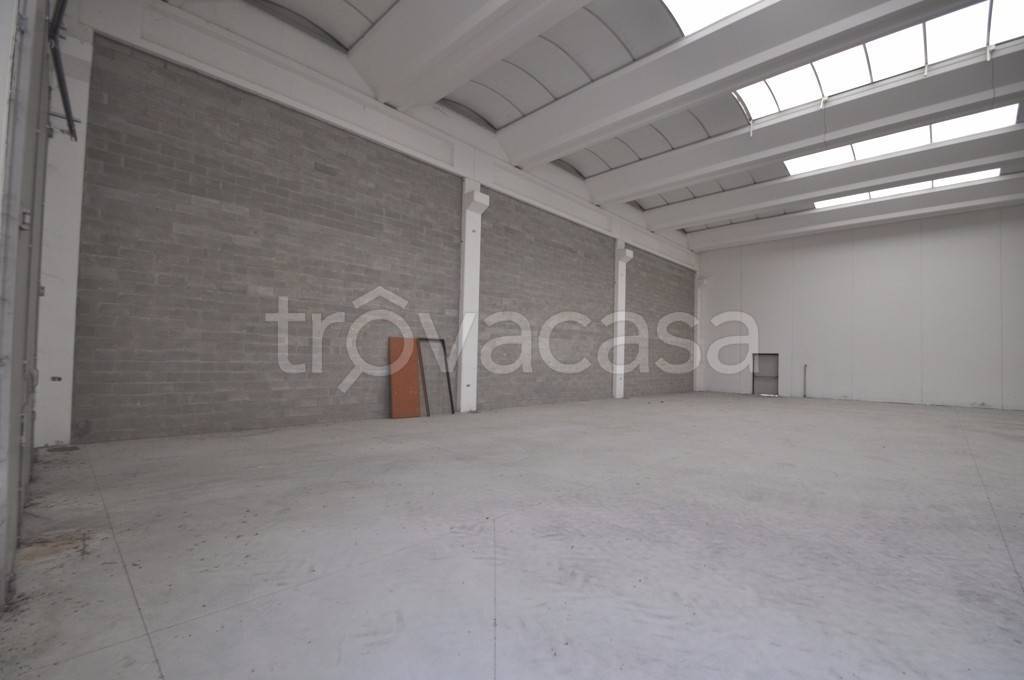 immagine annuncio 3 di 9