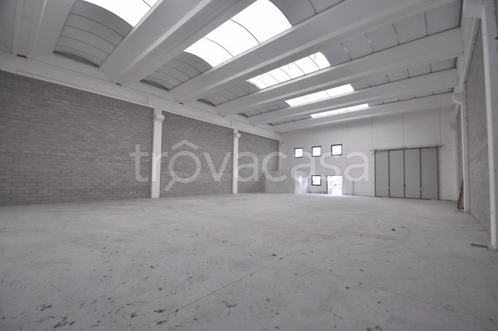 immagine annuncio 5 di 9