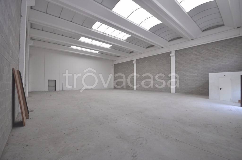 immagine annuncio 6 di 9