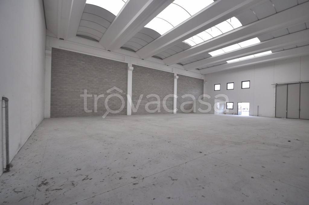 immagine annuncio 7 di 9