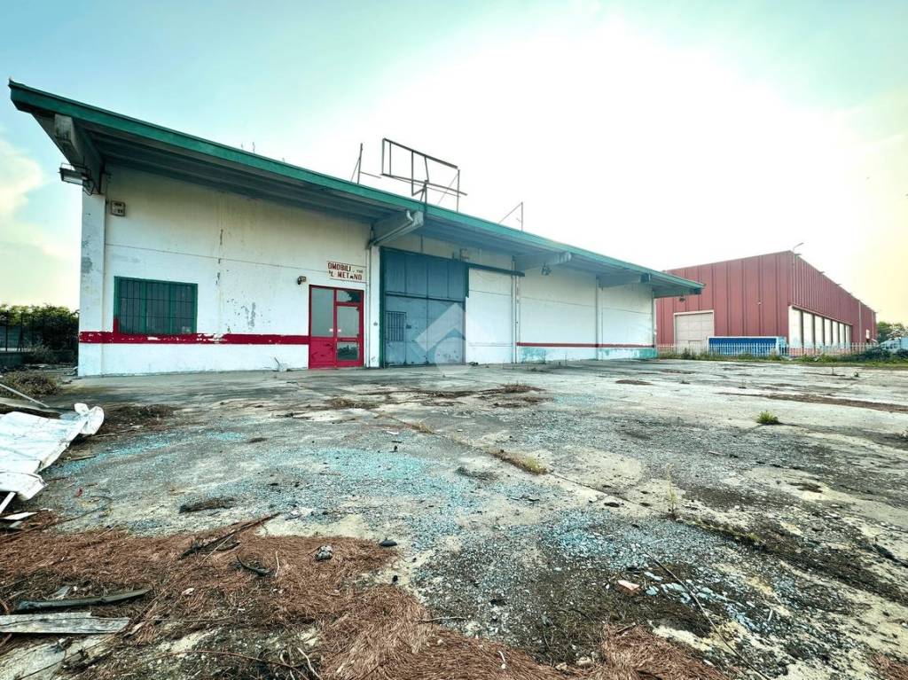 Capannone Industriale in vendita a Bosco Marengo capannone e terreno Strada Statale 35 Bis dei Giovi, 1