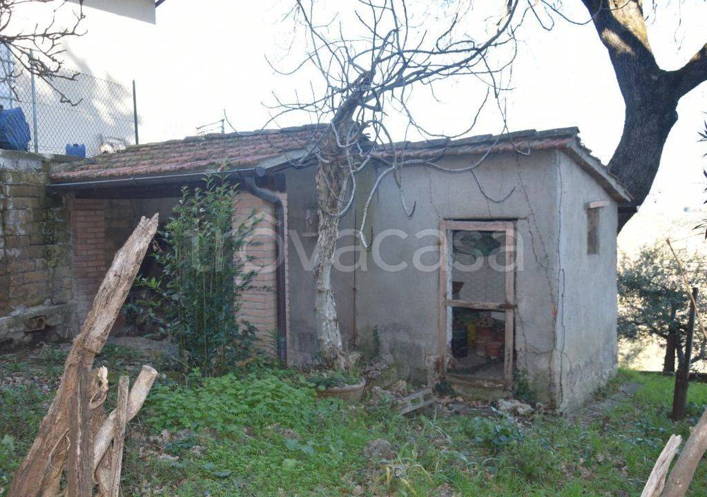 immagine annuncio 10 di 14