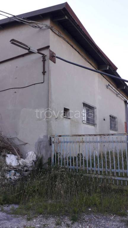 immagine annuncio 2 di 9