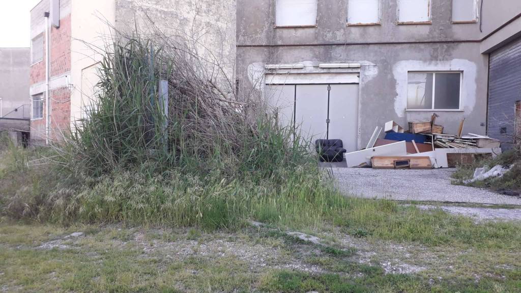 immagine annuncio 5 di 9