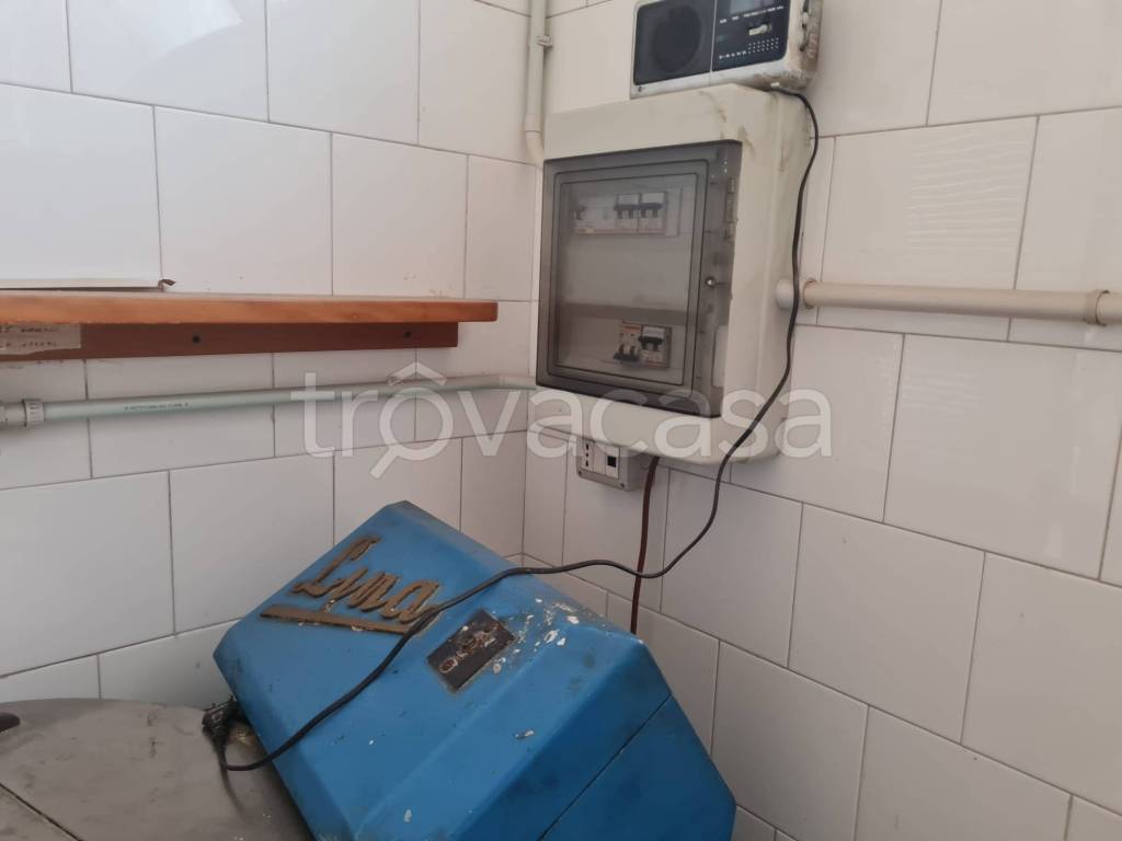 immagine annuncio 6 di 13