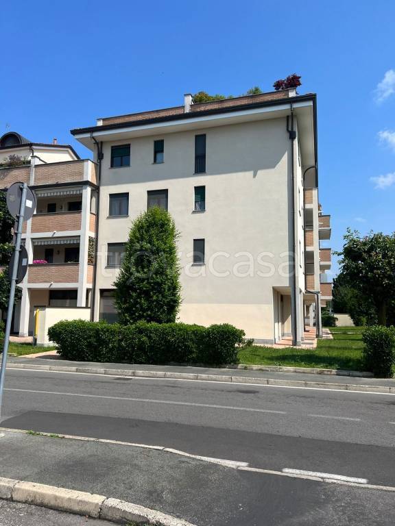 immagine annuncio 11 di 14