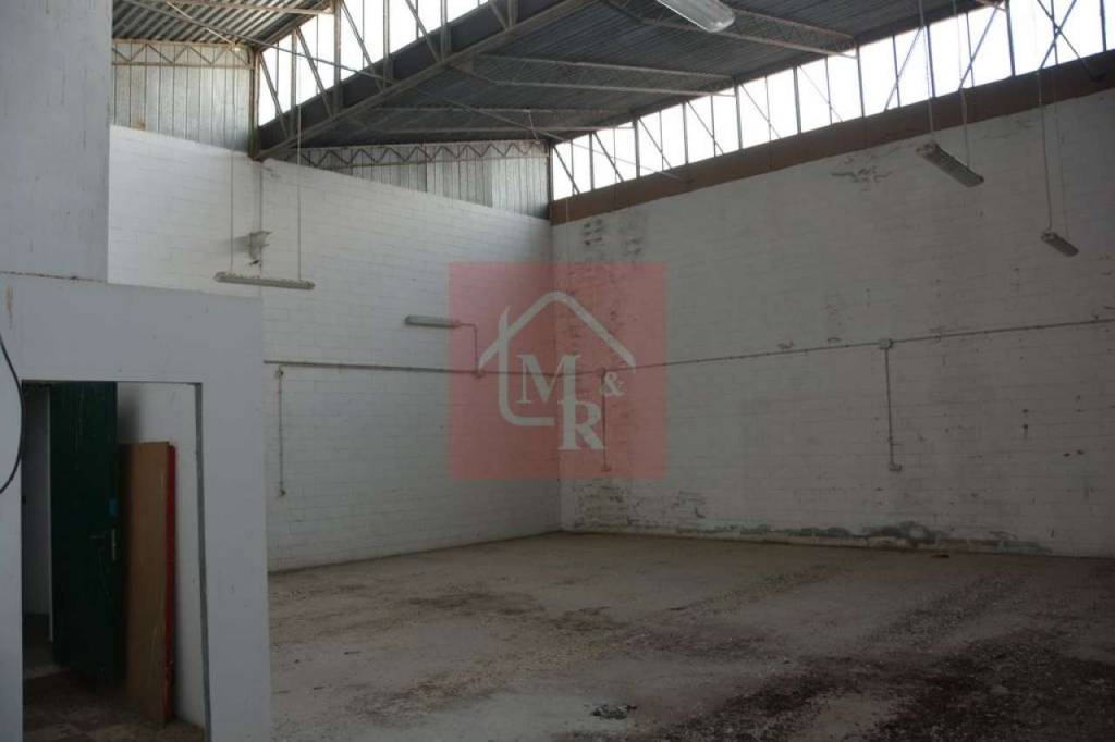 immagine annuncio 2 di 6