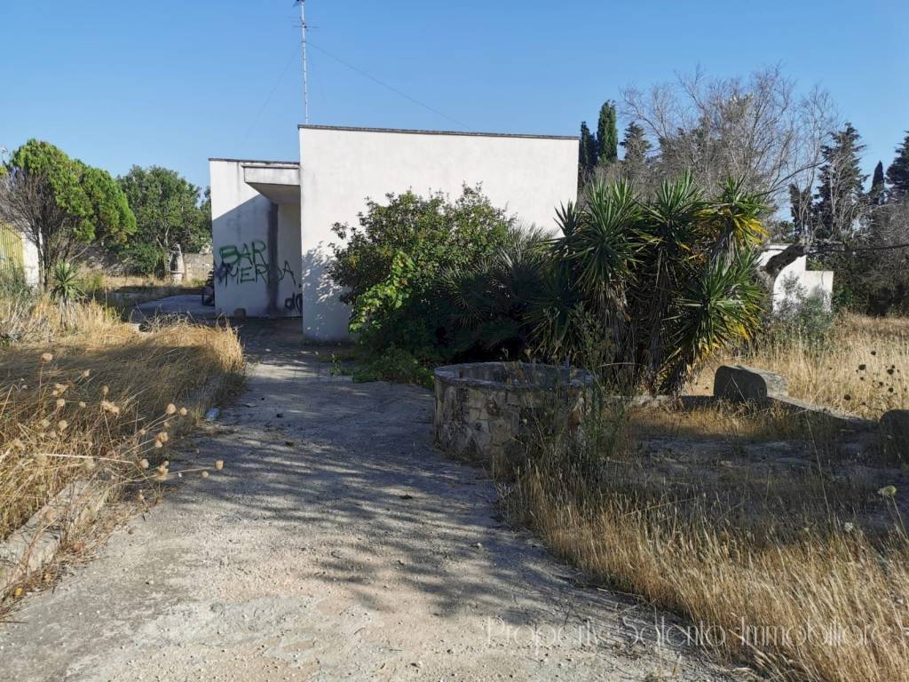 immagine annuncio 8 di 15