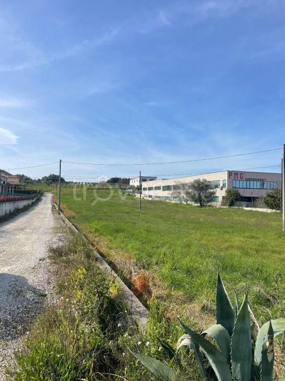 immagine annuncio 2 di 4