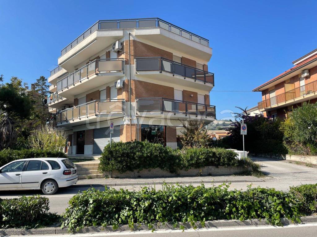 Appartamento in in vendita da privato a Fermo via Antoniotto Usodimare